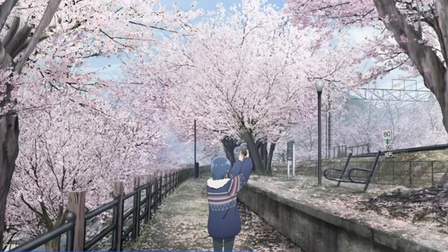 Railroad Ruins and Cherry Blossoms